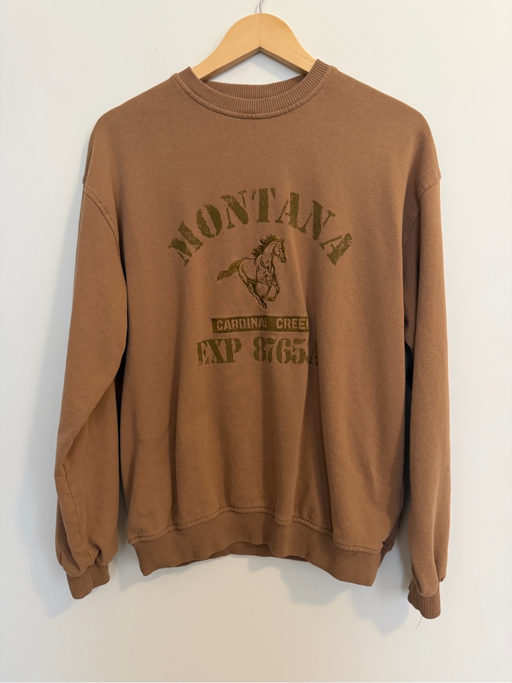 Urban Outfitters Montana Graphic Fleece Crewneck Pullover Sweatshirt Size Small